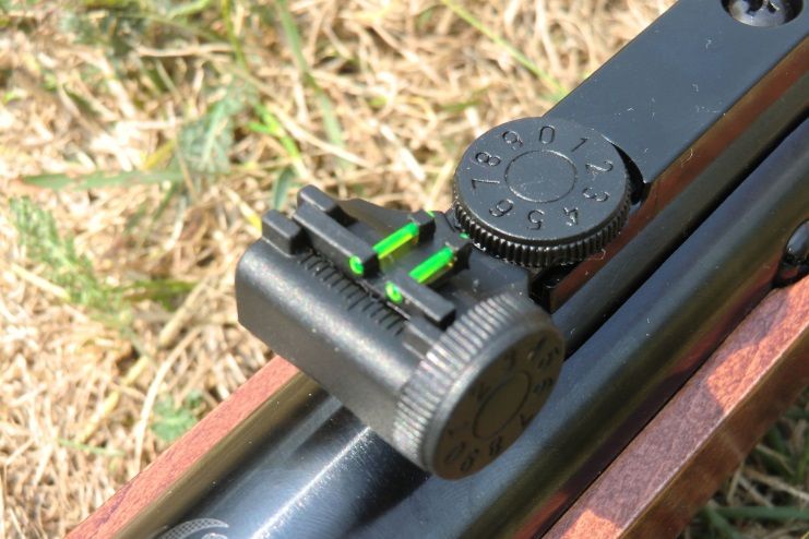 ruger airscout rancher test