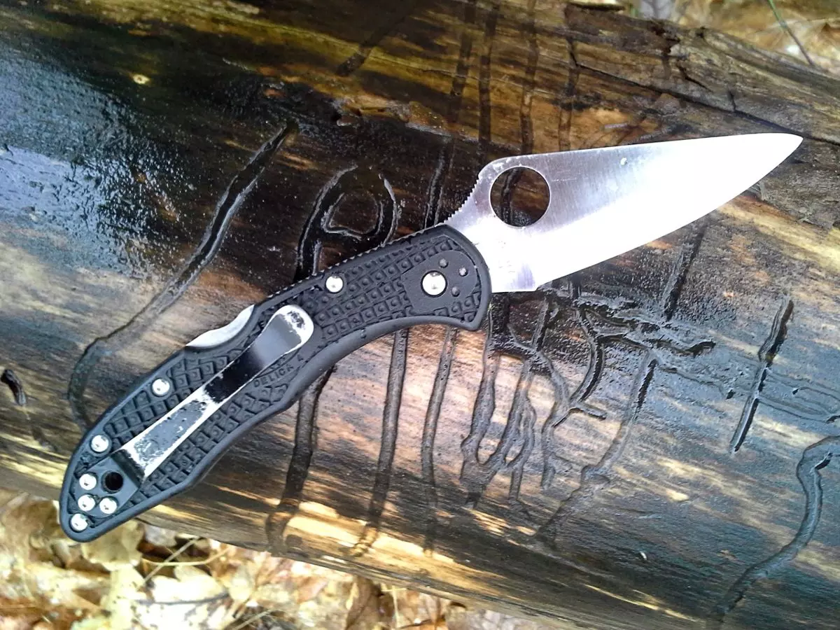 Nóż Spyderco Delica Plain Edge_12