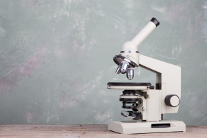 Jak wybrać pierwszy mikroskop? Wskazówki i polecane modele