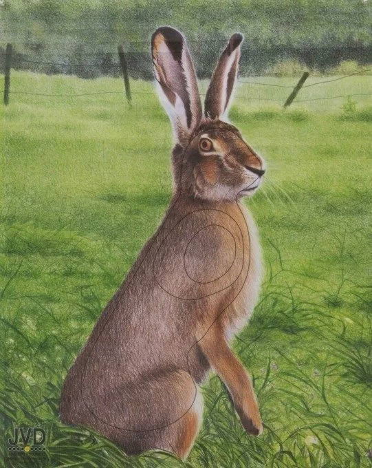 Zdjęcie produktu Tarcza papierowa JVD zając (065-277)