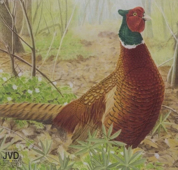 Zdjęcie produktu Tarcza papierowa JVD bażant